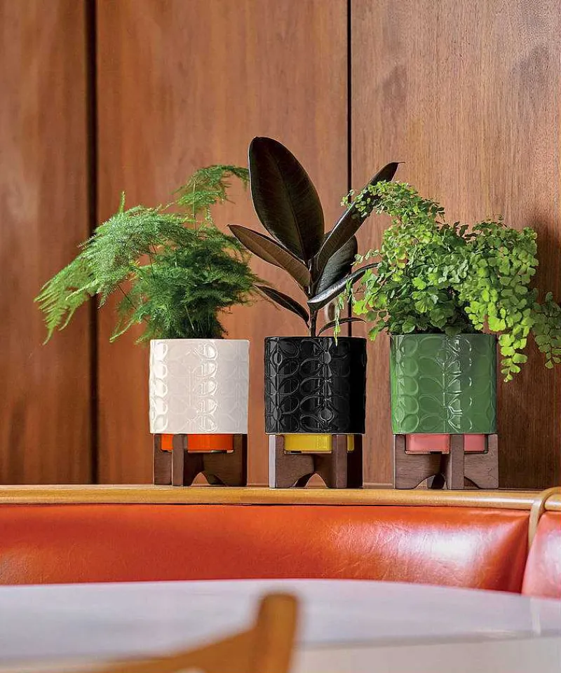 debossed_plant_pot_on_woo_0.webp Orla Kiely Gifts Under £50-Debossed Plant Pot On Wooden Stand